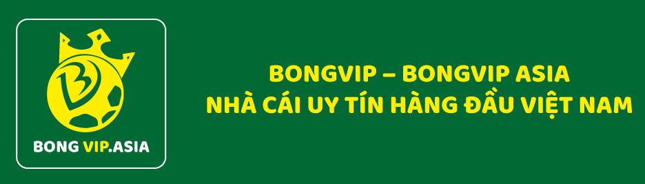 Bongvip - nhà cái cá cược uy tín chất lượng