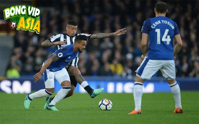 Soi kèo Everton vs Newcastle Ngày 05/10/2024