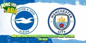 Nhận Định Brighton & Hove vs Manchester City Ngày 10/11/2024