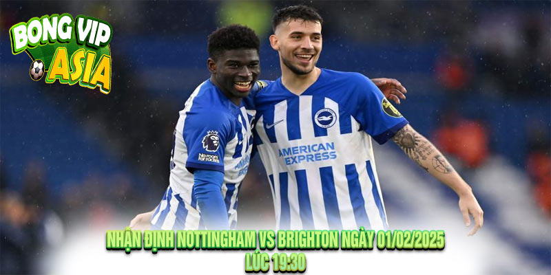 Nhận Định Nottingham vs Brighton Ngày 01/02/2025