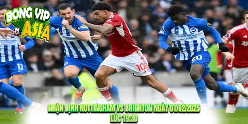 Nhận Định Nottingham vs Brighton Ngày 01/02/2025